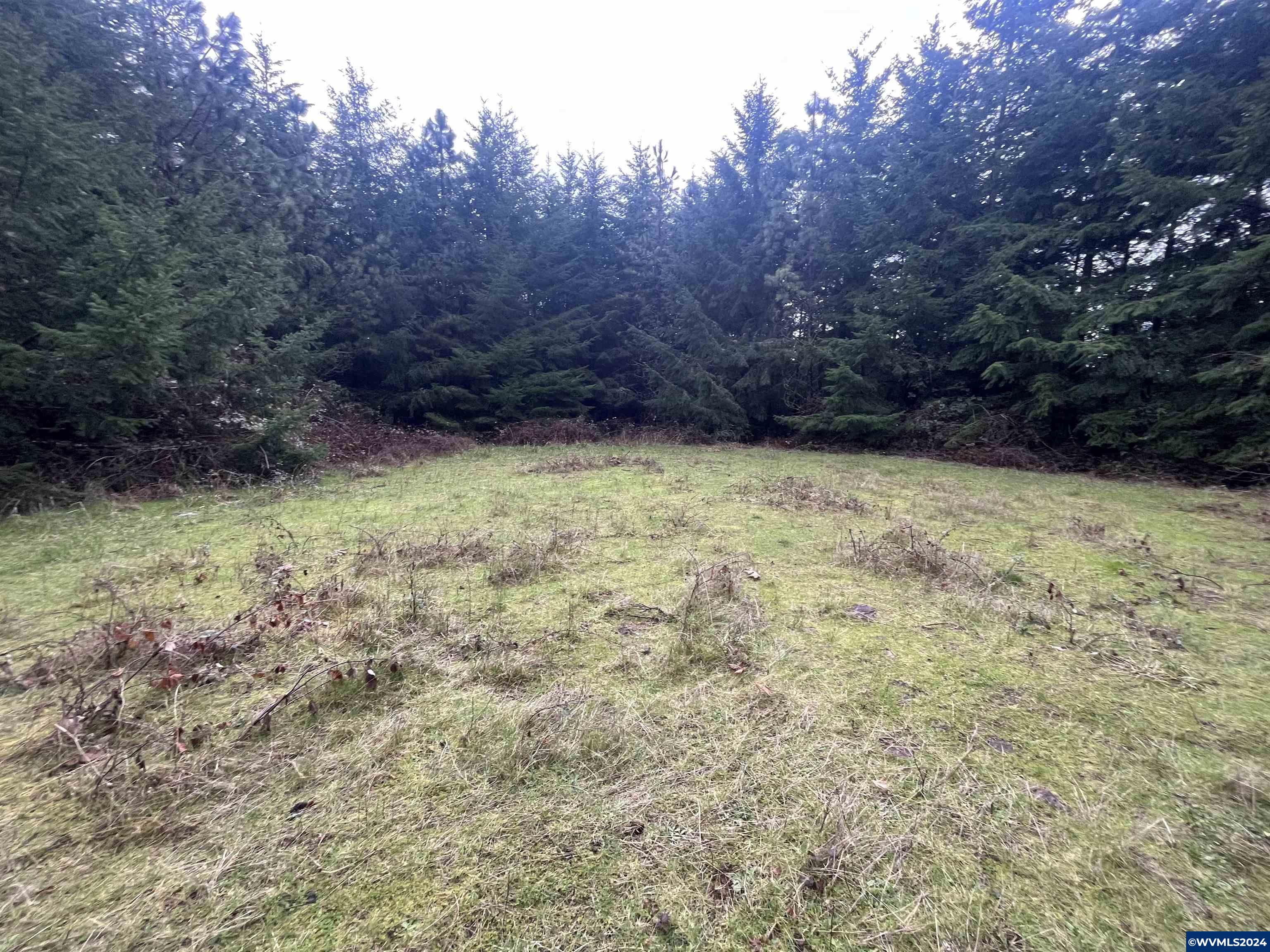 602 Santiam Terrace Road Lebanon, OR 97355 - Photo 1 of 10