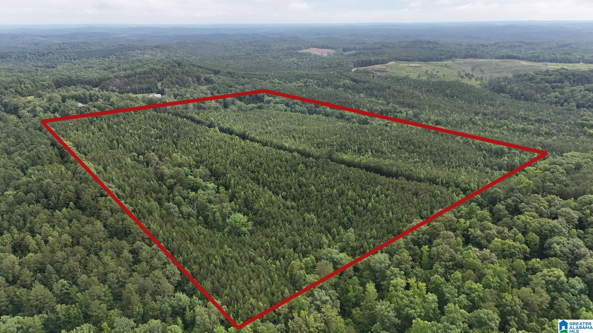 0 Skyview Lake Road Cottondale, AL 35453 - Photo 1 of 22