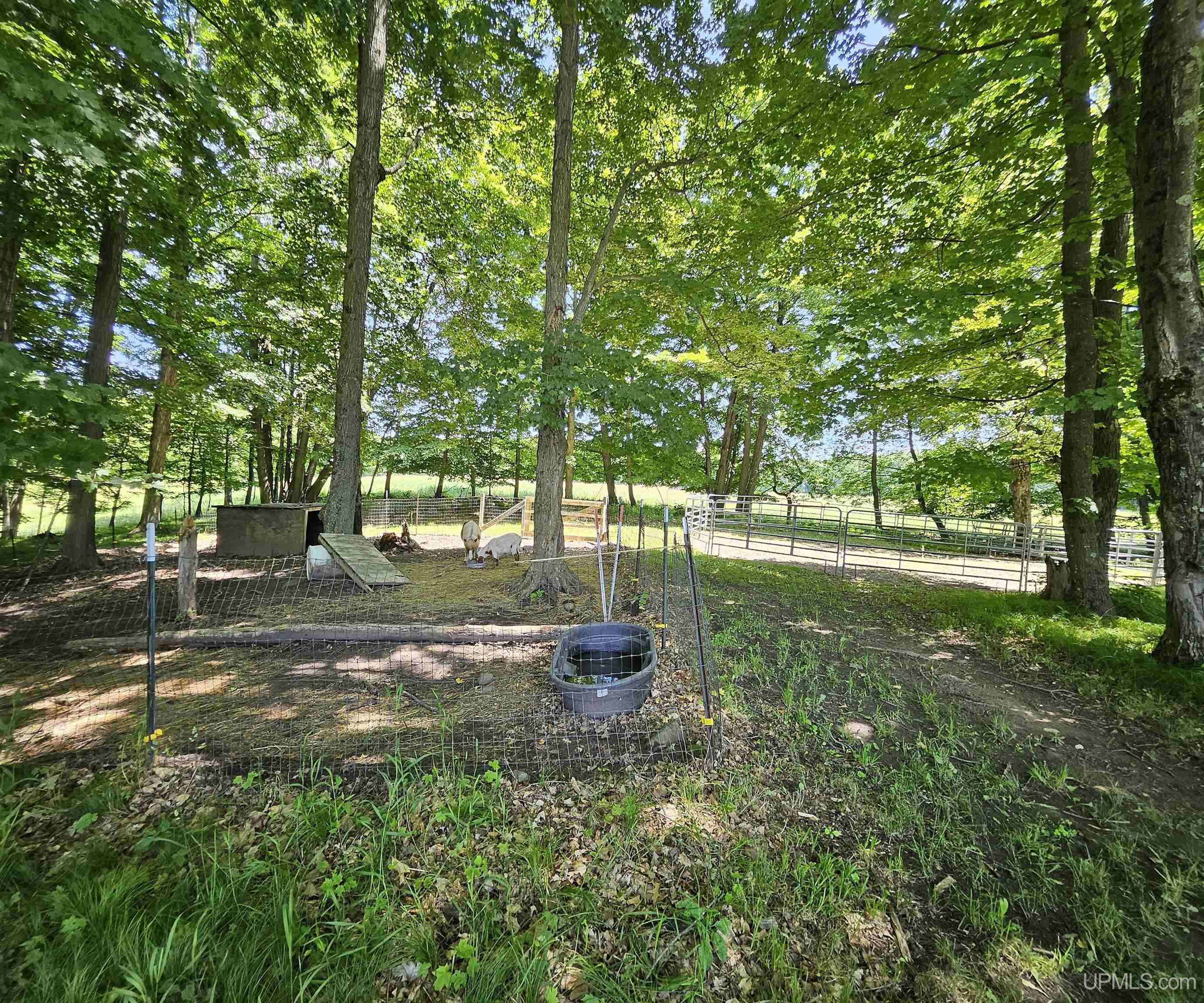 3101 West Ridge Crest Road Vulcan, MI 49892 - Photo 68 of 69