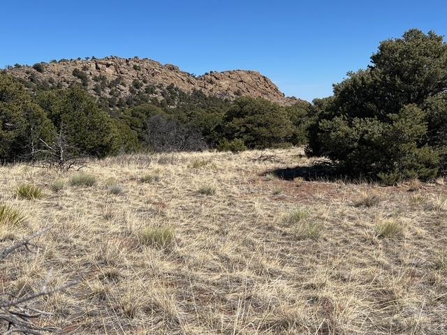 3 B Majors Ranch Road Walsenburg, CO 81089 - Photo 28 of 54