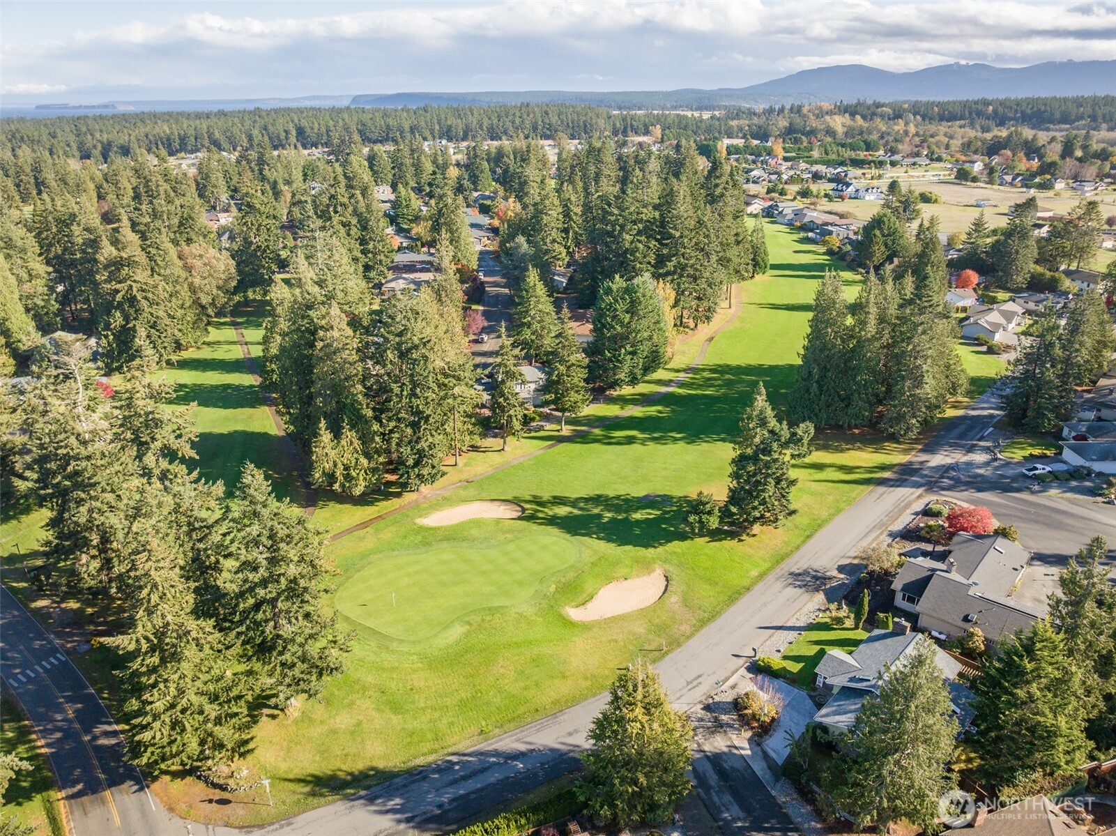 117 Williams Place Sequim, WA 98382 - Photo 36 of 40 a view of a city
