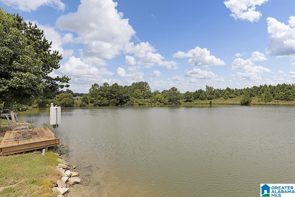293 Wynlake Drive Alabaster, AL 35007 - Photo 36 of 40