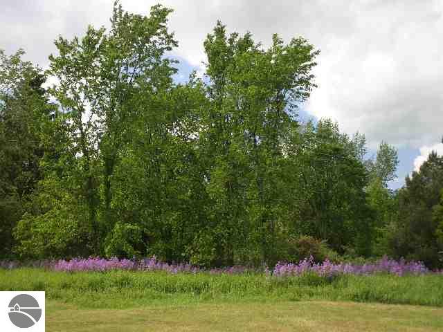 13770 Center Road Traverse City, MI 49686 - Photo 5 of 15 1706058-4.JPG
