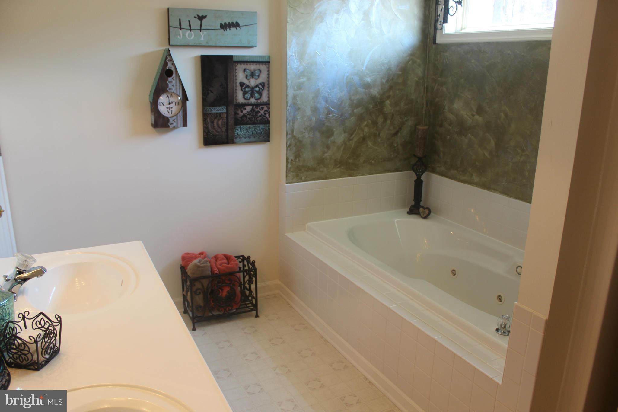 495 Greenfield Road Front Royal, VA 22630 - Photo 15 of 29 Bath (Master)