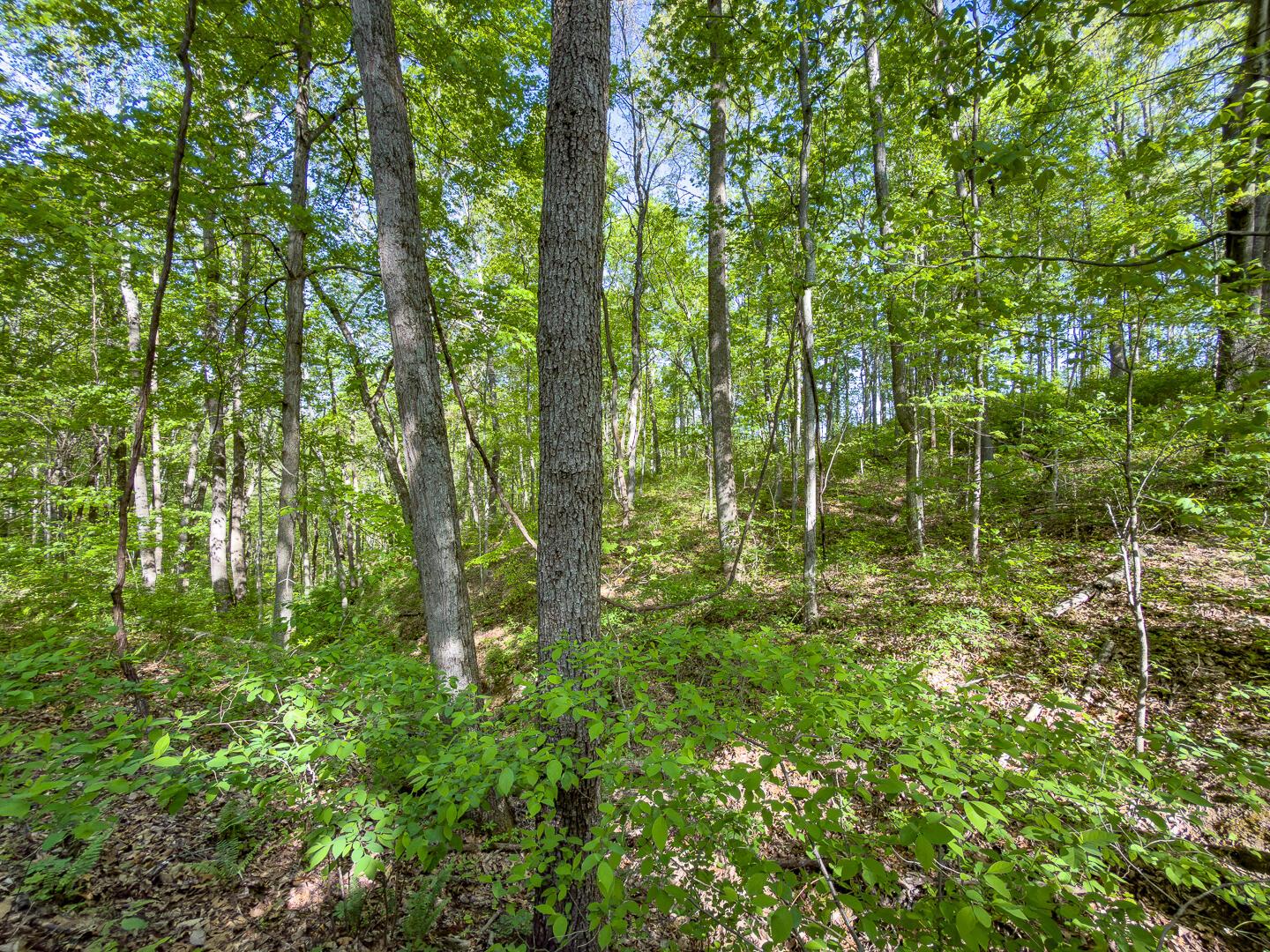 1 Perry Ridge Road Wilkesville, OH 45695 - Photo 13 of 19 Perry Ridge Rd Tract 1-9