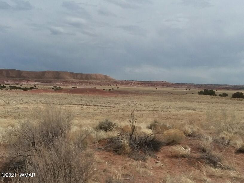009 B Sec 25 T17n R26e Chambers, AZ 86502 - Photo 3 of 7