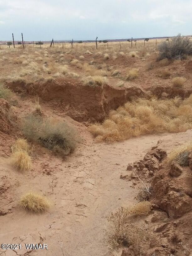 009 B Sec 25 T17n R26e Chambers, AZ 86502 - Photo 6 of 7