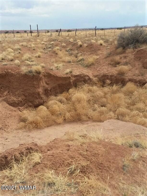 009 B Sec 25 T17n R26e Chambers, AZ 86502 - Photo 7 of 7