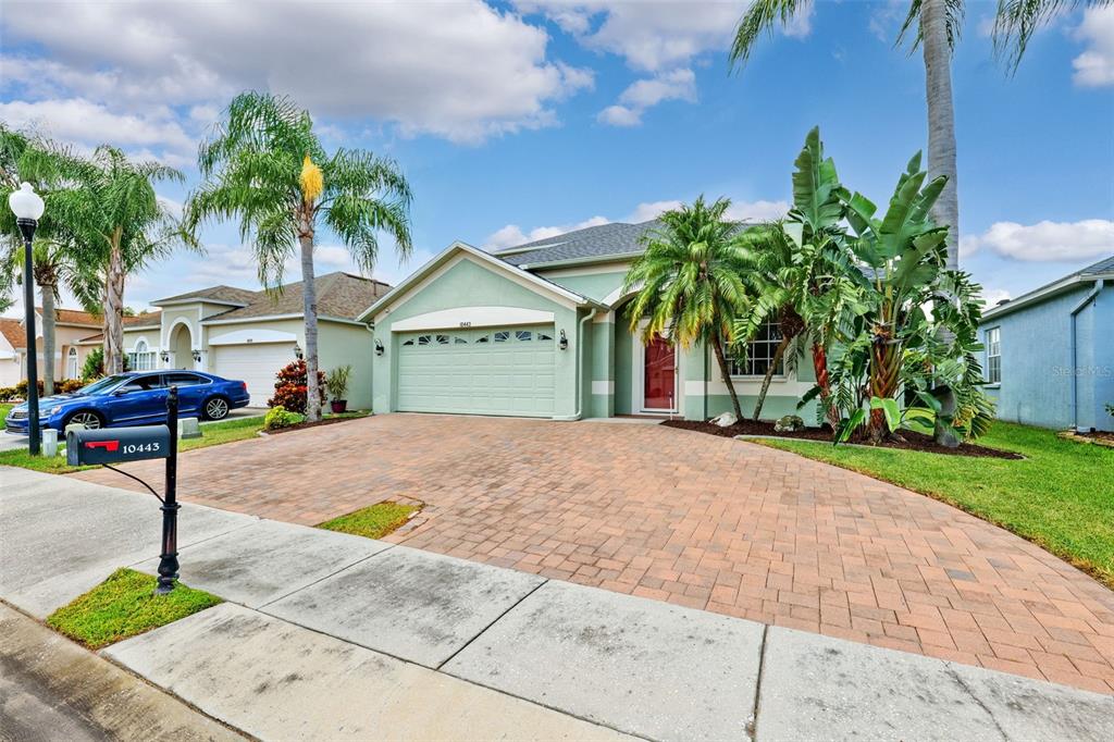 10443 Peppergrass Court Trinity, FL 34655 - Photo 10 of 62 a front view of a house with garden
