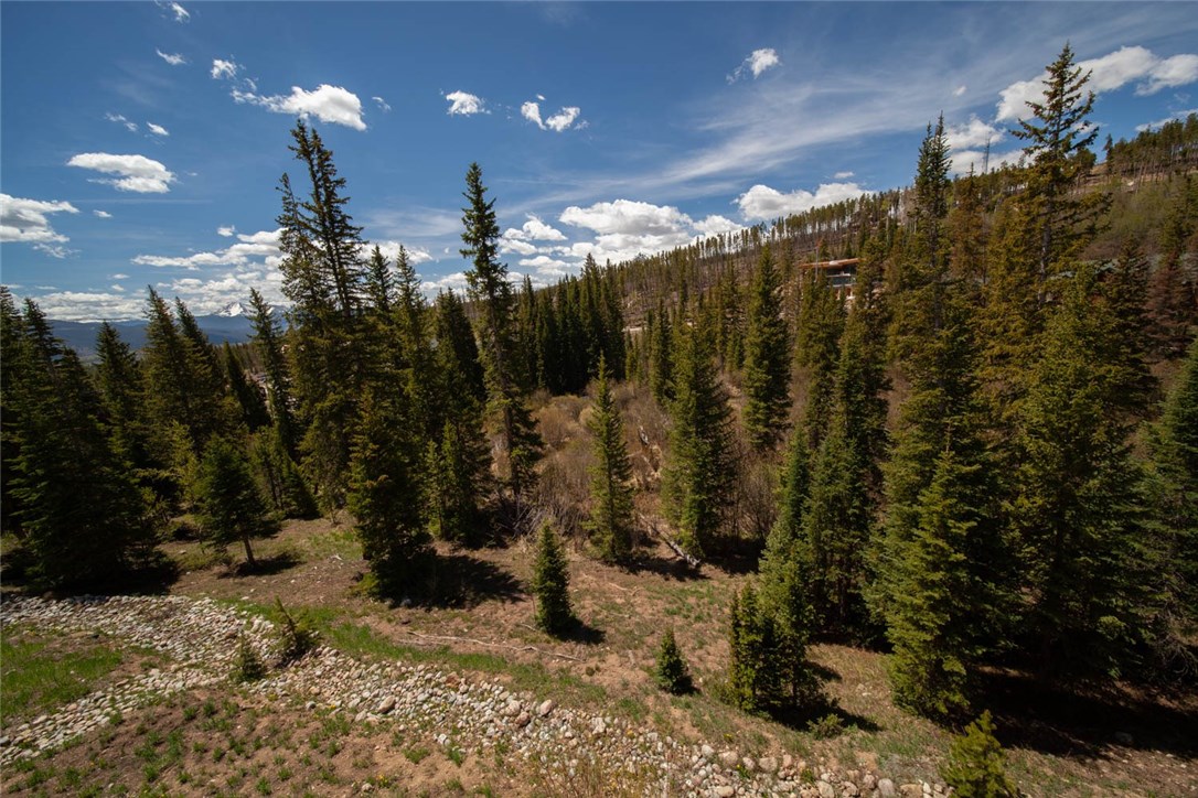 91399 Ryan Gulch Road, Unit B2 Silverthorne, CO 80498 - Photo 12 of 27 Gallery Image 12