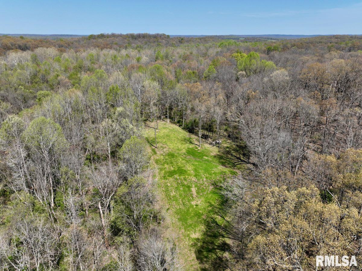 0 Pea Ridge Road Metropolis, IL 62960 - Photo 25 of 32