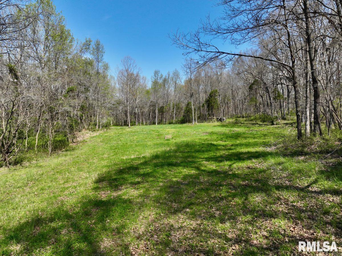 0 Pea Ridge Road Metropolis, IL 62960 - Photo 26 of 32