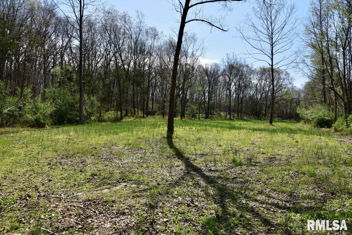 0 Pea Ridge Road Metropolis, IL 62960 - Photo 28 of 32