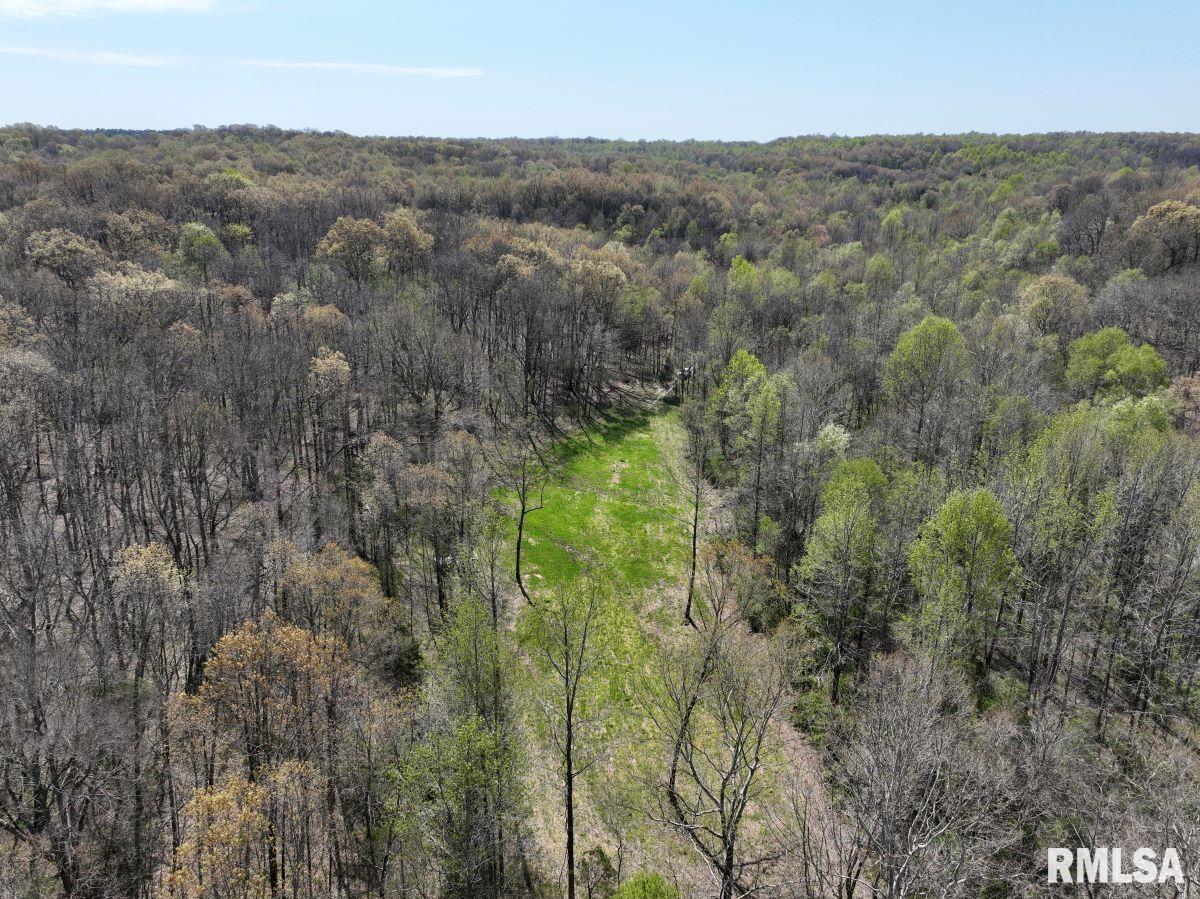 0 Pea Ridge Road Metropolis, IL 62960 - Photo 29 of 32