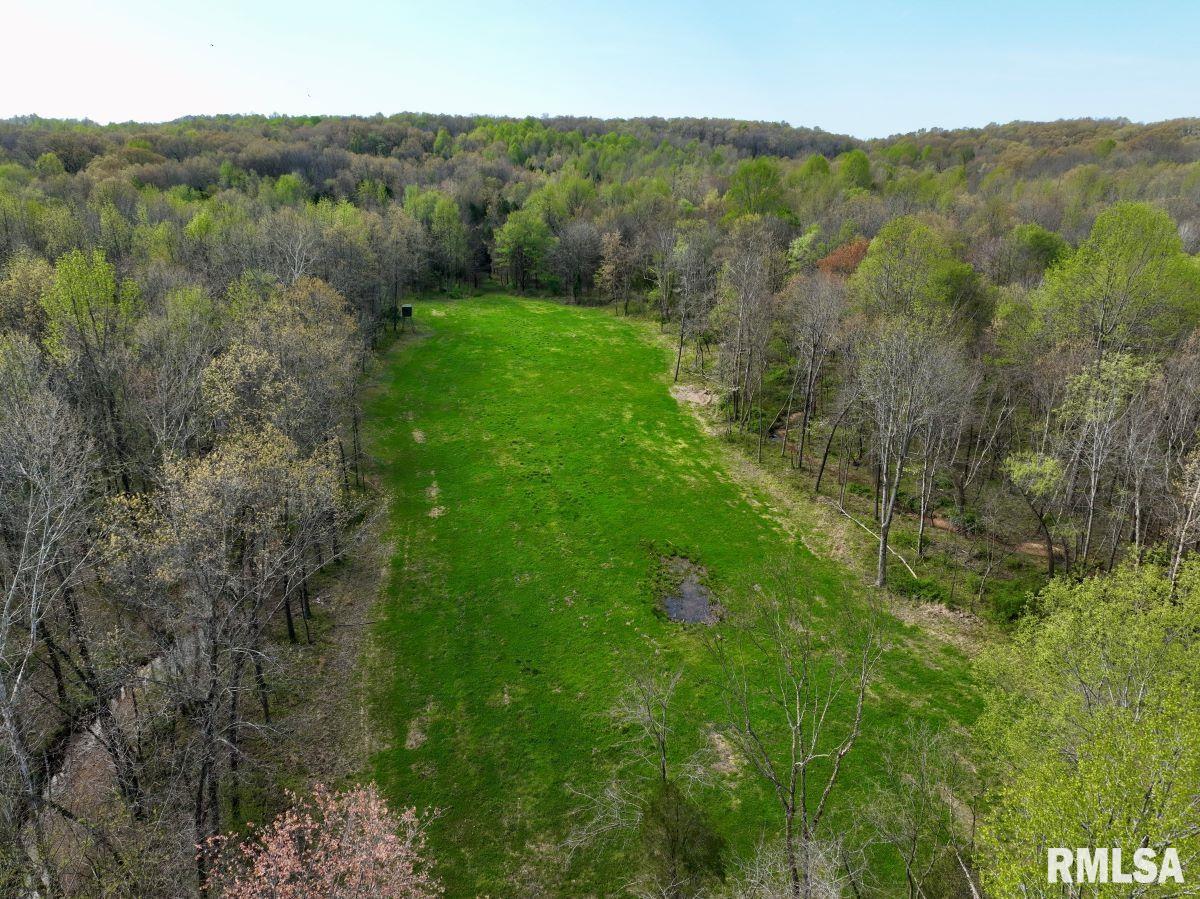 0 Pea Ridge Road Metropolis, IL 62960 - Photo 4 of 32