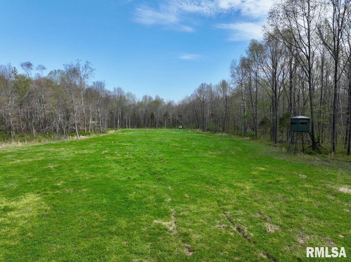 0 Pea Ridge Road Metropolis, IL 62960 - Photo 5 of 32