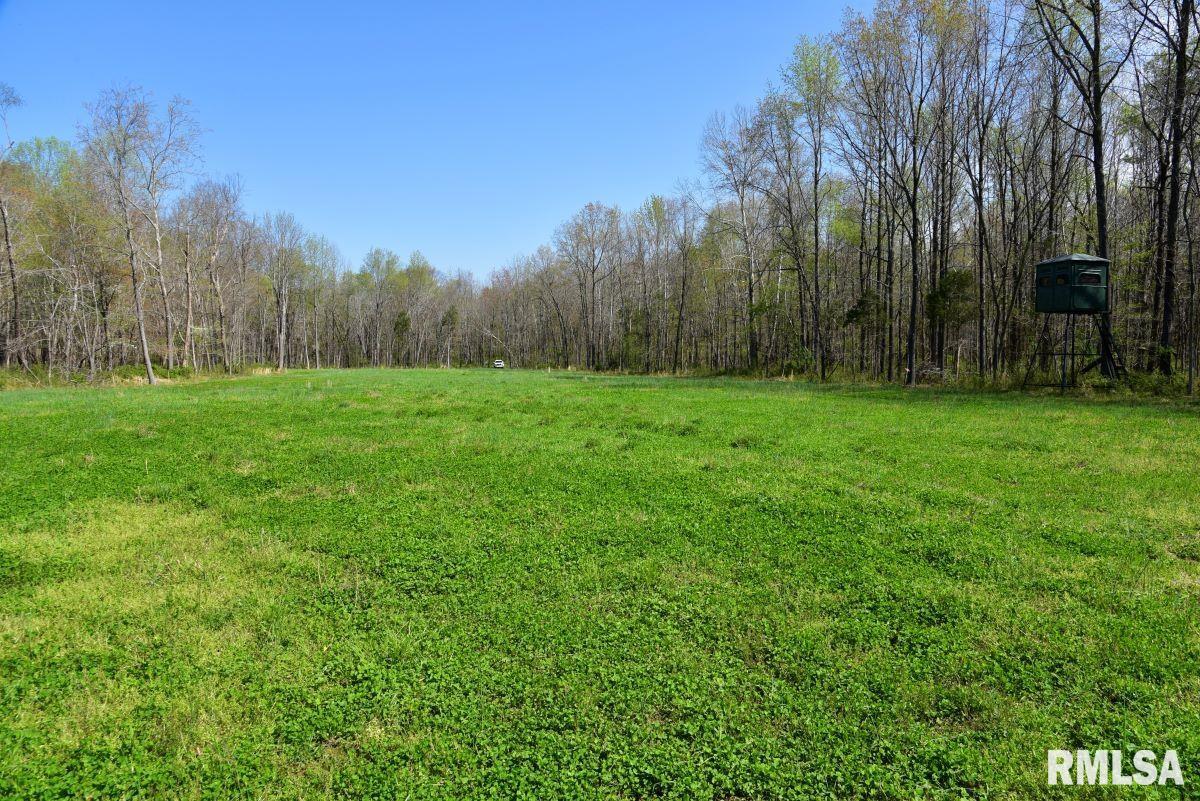 0 Pea Ridge Road Metropolis, IL 62960 - Photo 7 of 32