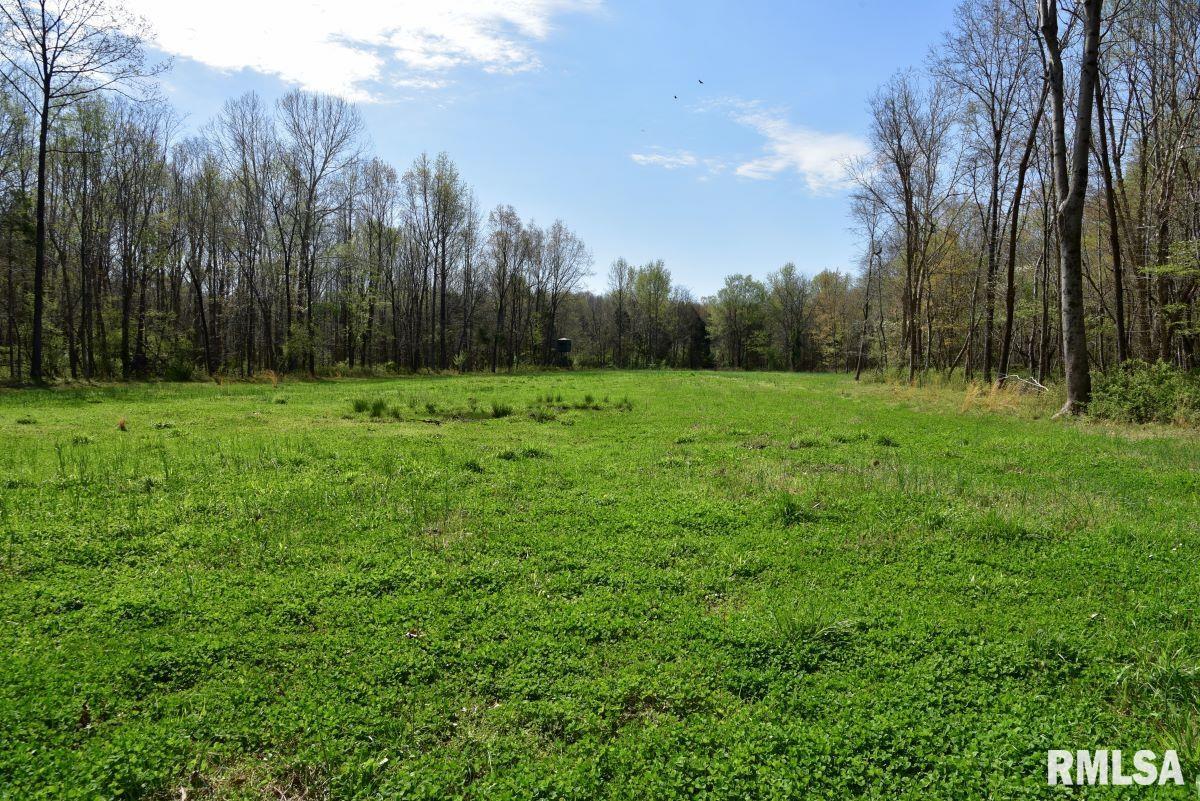 0 Pea Ridge Road Metropolis, IL 62960 - Photo 8 of 32