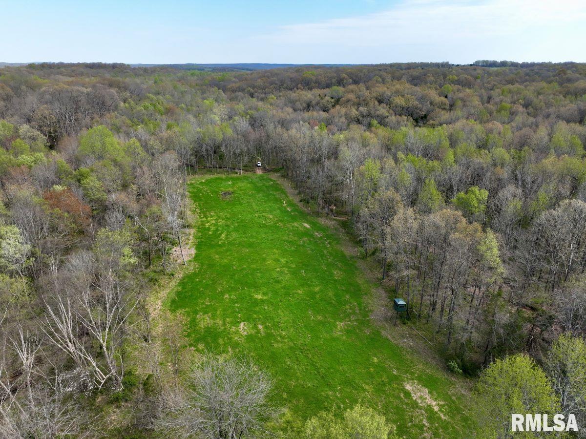 0 Pea Ridge Road Metropolis, IL 62960 - Photo 9 of 32