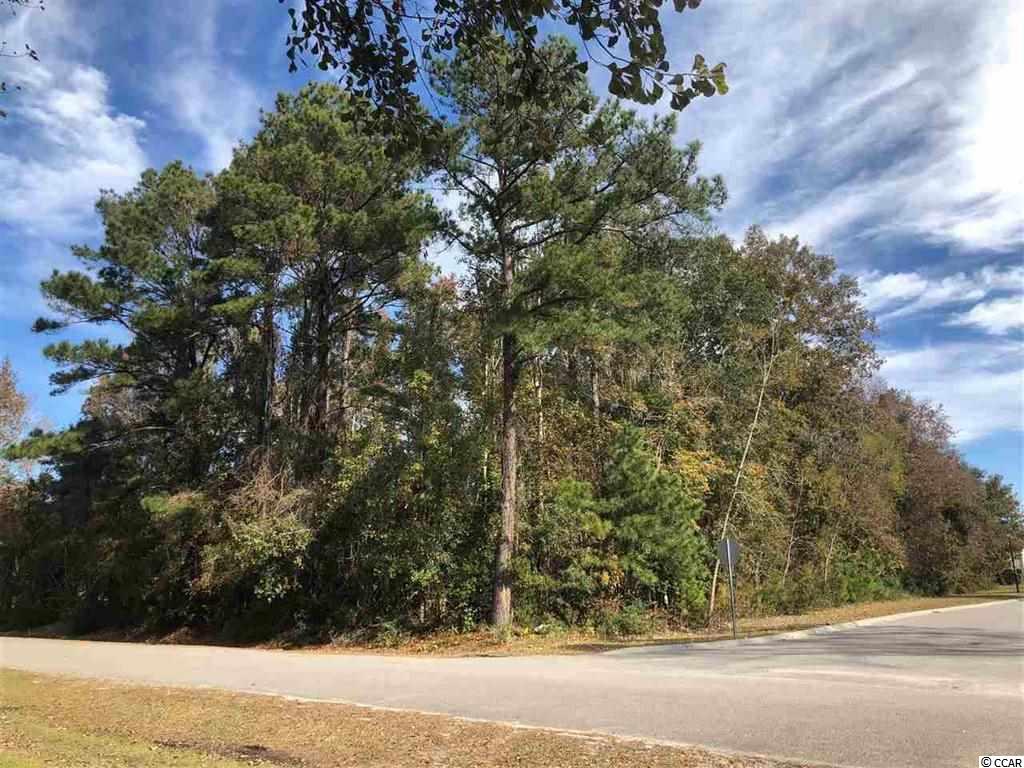 54 Pelican Bay Road Little River, SC 29566 - Photo 1 of 13 Gallery Image 1