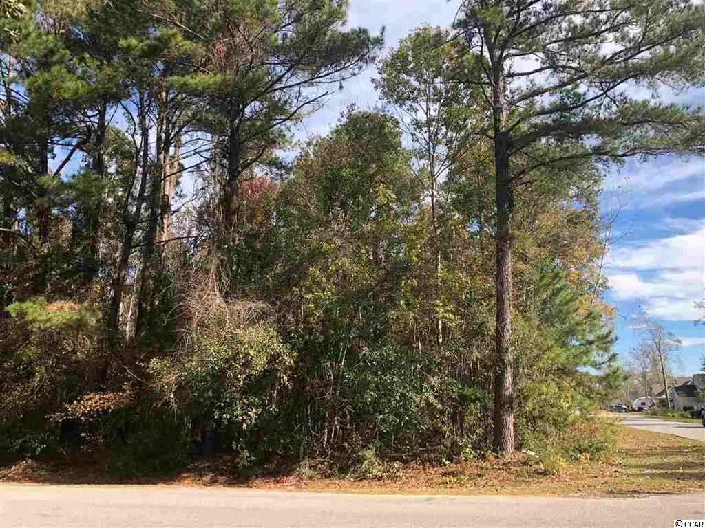 54 Pelican Bay Road Little River, SC 29566 - Photo 2 of 13 Gallery Image 2