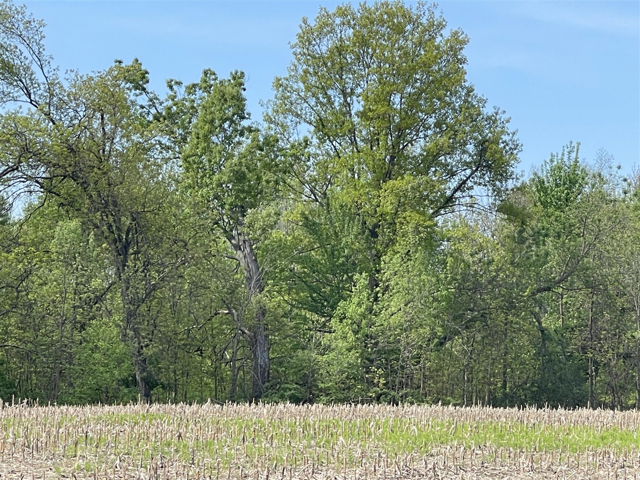4514 22 Mile Road Northeast, Unit PARCEL 1 Sand Lake, MI 49343 - Photo 14 of 17
