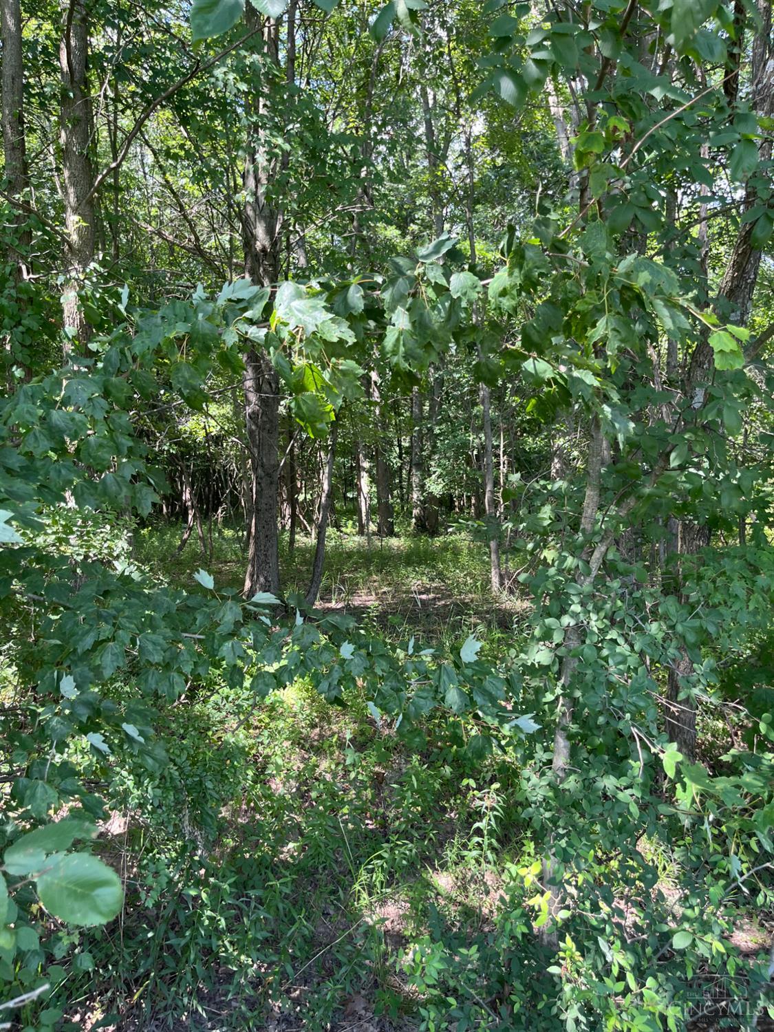 Ac Frye Road Sardinia, OH 45171 - Photo 8 of 11 Gallery Image 8