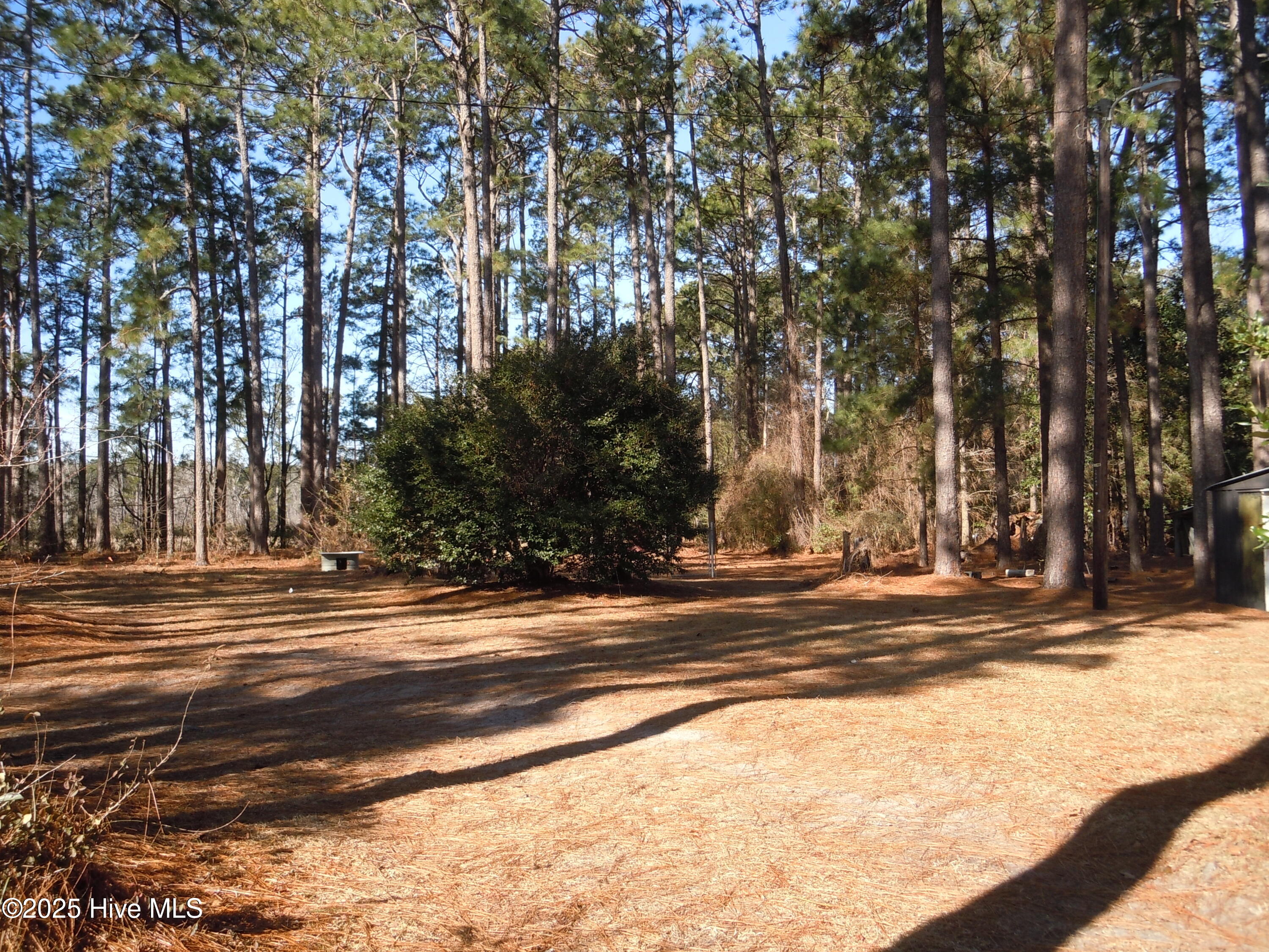 1070 Bee Tree Road Chadbourn, NC 28431 - Photo 49 of 85 DSCN9456