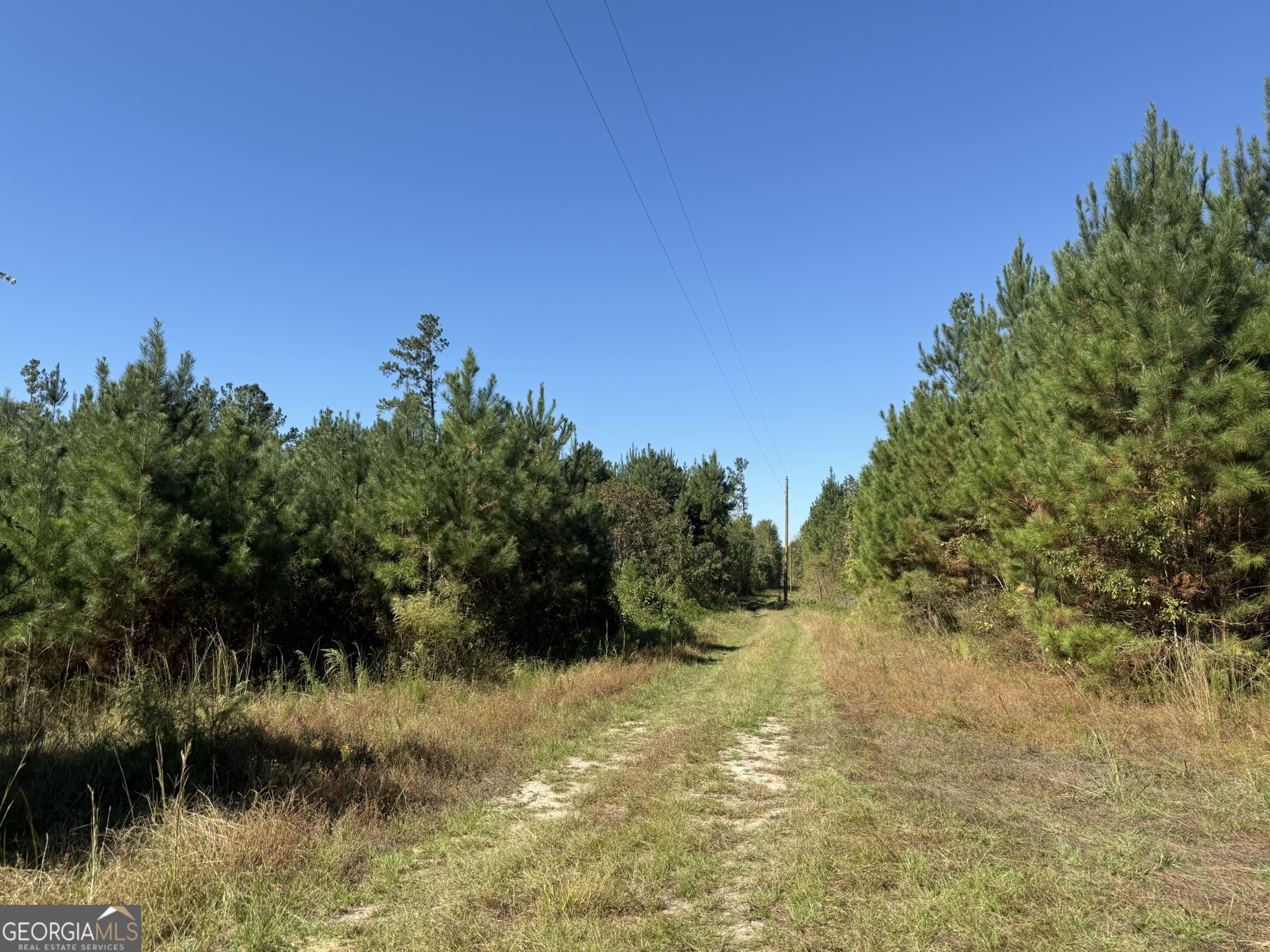9 Mt Zion Road Gordon, AL 36343 - Photo 12 of 15 a view of a lake view