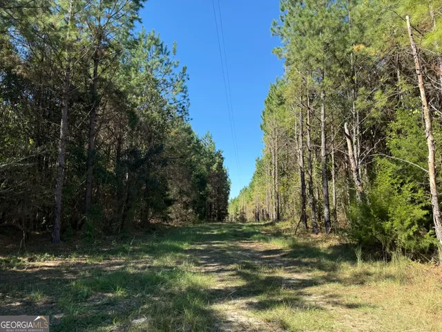 a view of backyard with green space