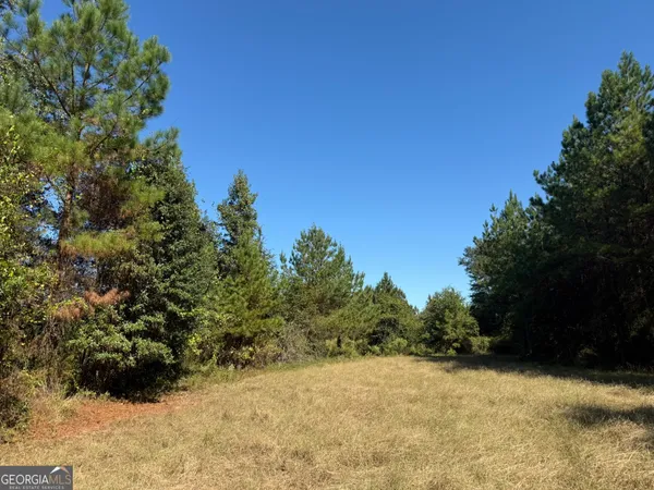 a view of a yard covered with trees