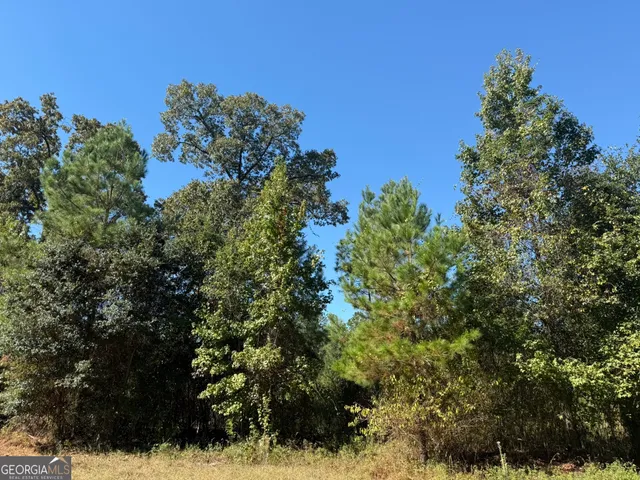 a view of a house with a tree