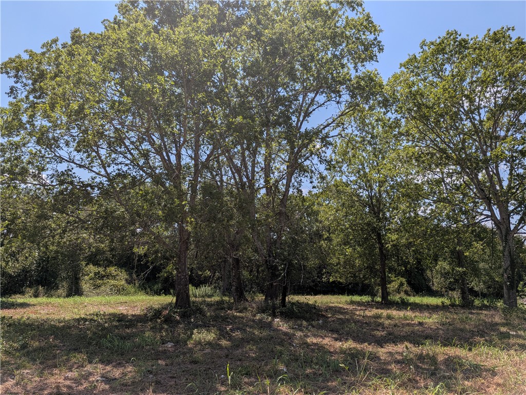 18320 Sweed Road Washington, TX 77880 - Photo 14 of 16 Gallery Image 14