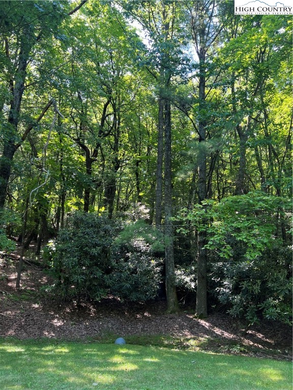 Lot 49 Country Club Road Glade Valley, NC 28627 - Photo 1 of 8 Gallery Image 1