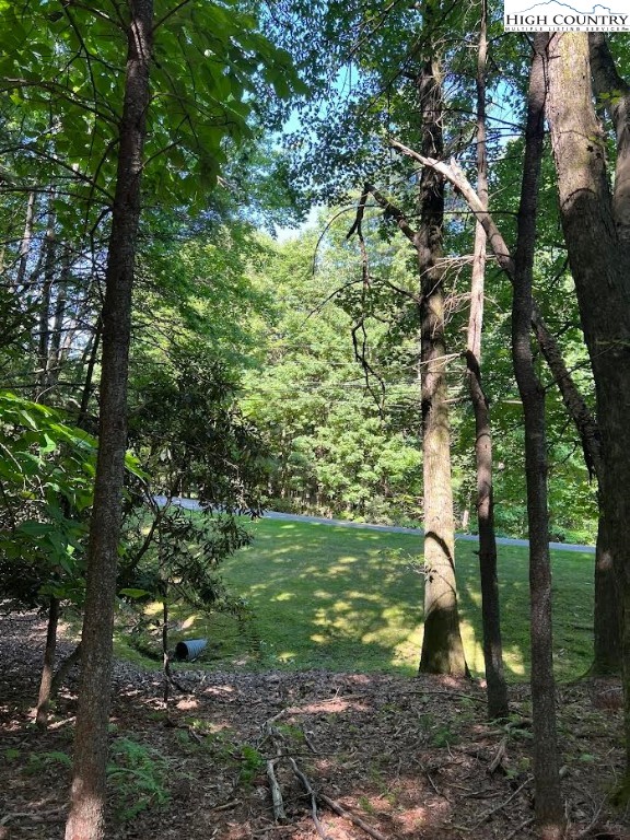 Lot 49 Country Club Road Glade Valley, NC 28627 - Photo 2 of 8 Gallery Image 2