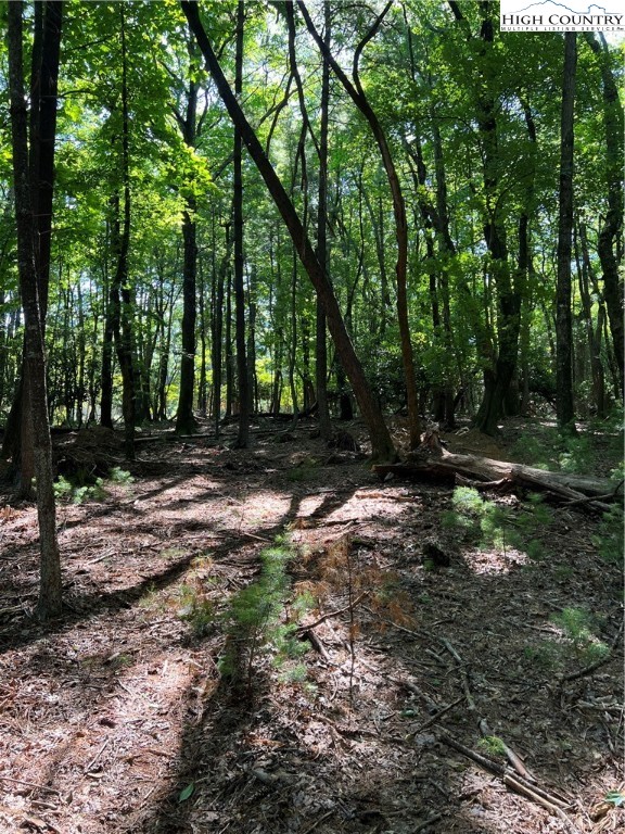 Lot 49 Country Club Road Glade Valley, NC 28627 - Photo 5 of 8 Gallery Image 5