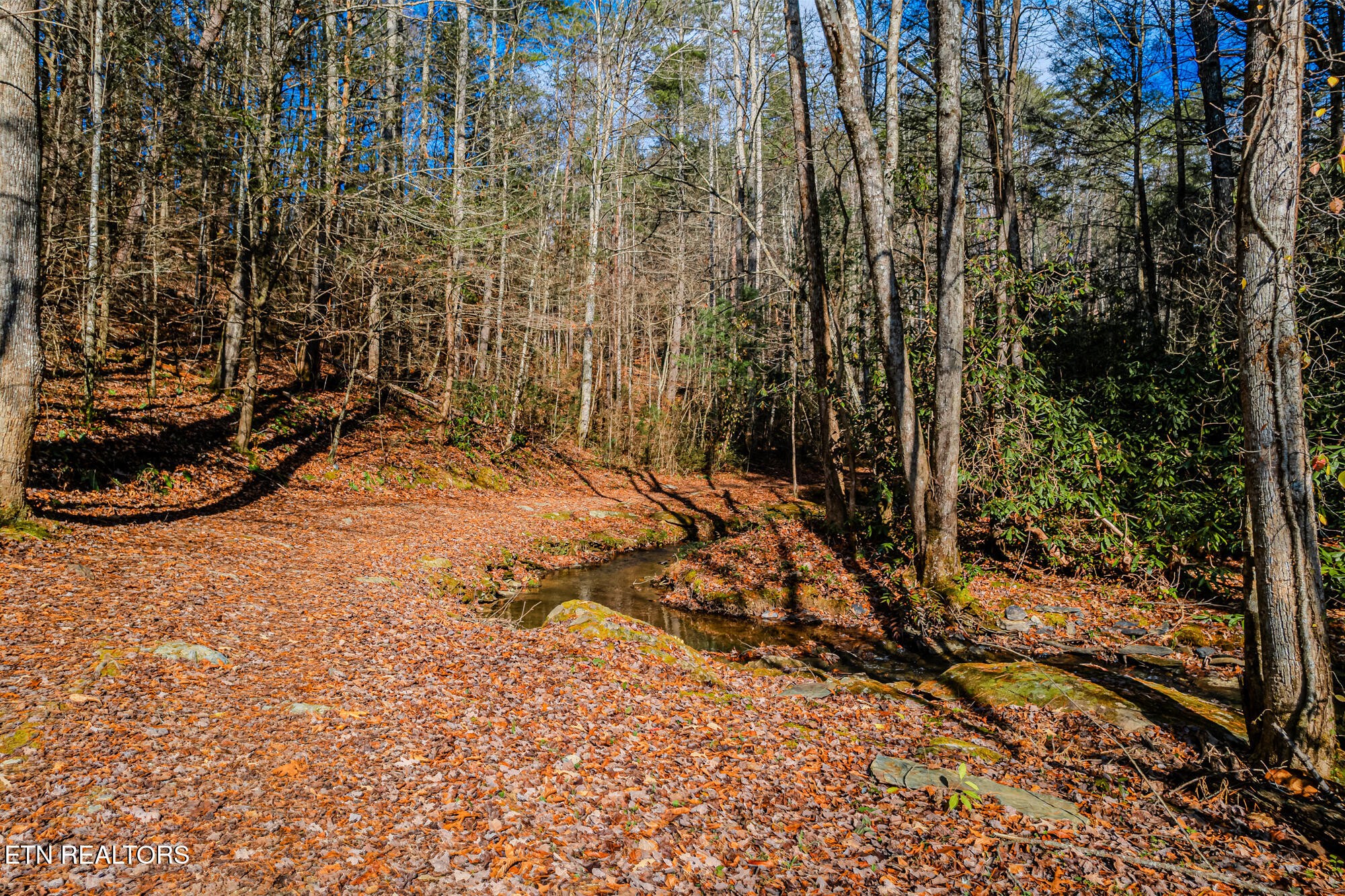 0 Pond Ridge Road Tellico Plains, TN 37385 - Photo 6 of 32