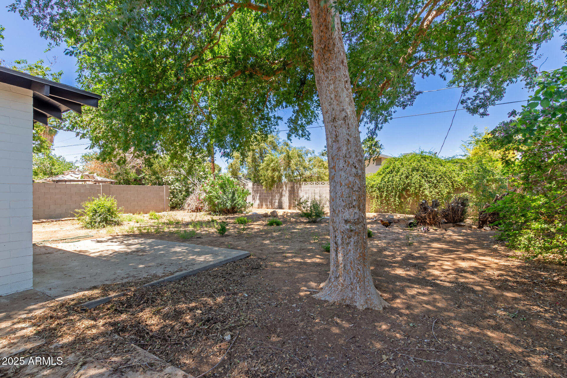 3526 East Cheery Lynn Road Phoenix, AZ 85018 - Photo 30 of 30 30 Cheery Lynn