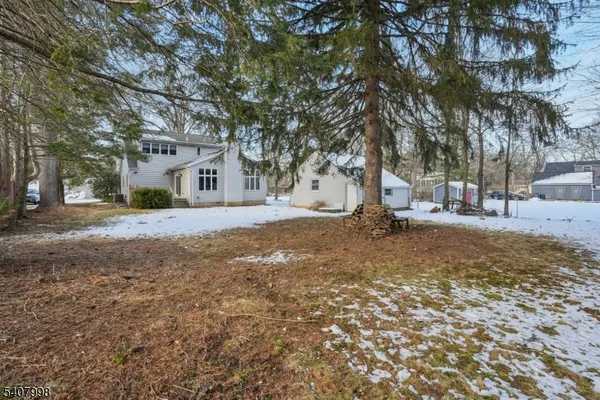 a view of a yard with a tree