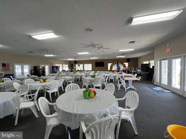a view of a park with large trees