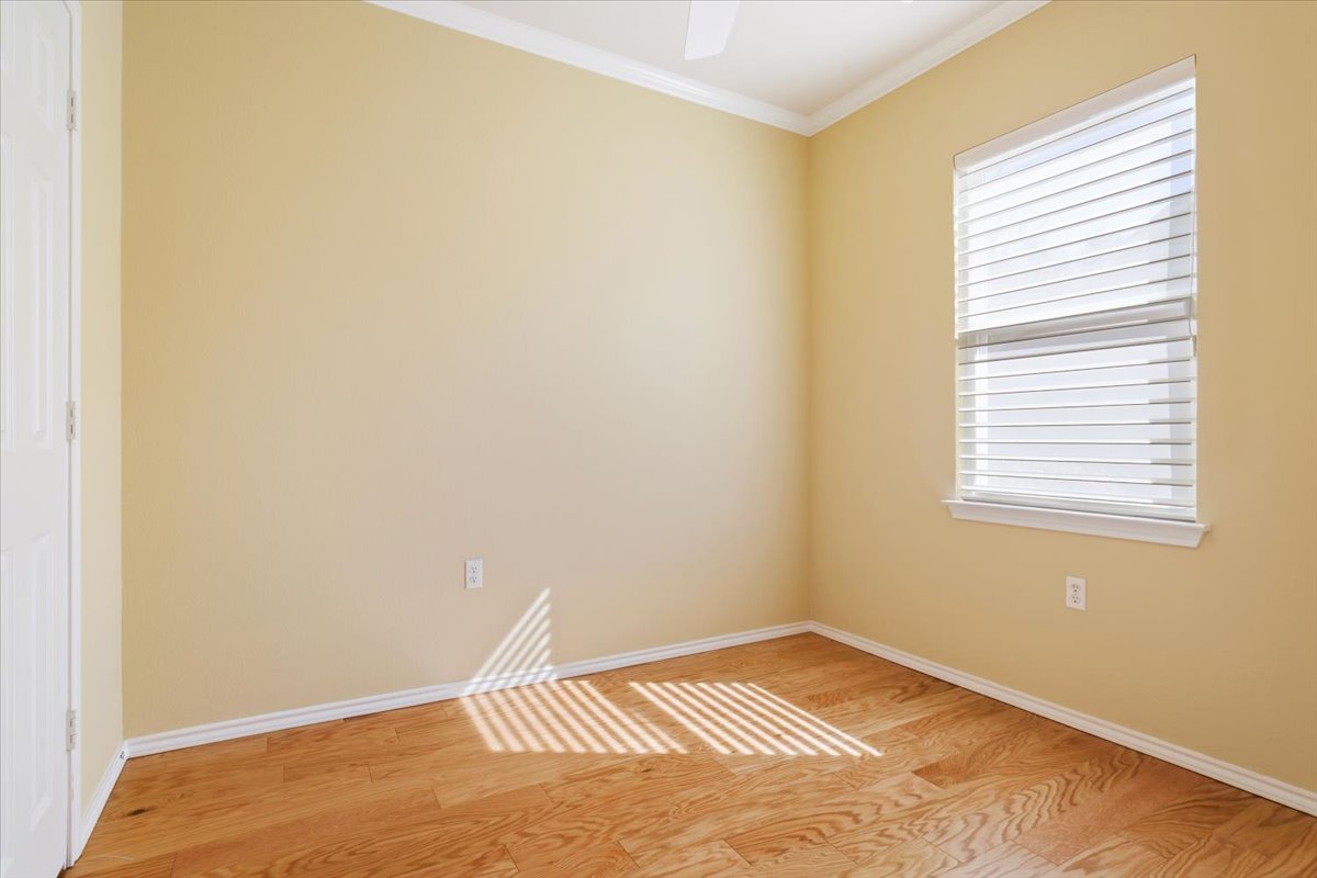 113 Sunny Side Bend Georgetown, TX 78633 - Photo 26 of 33 Guest bedroom might work as a craft room for some people.
