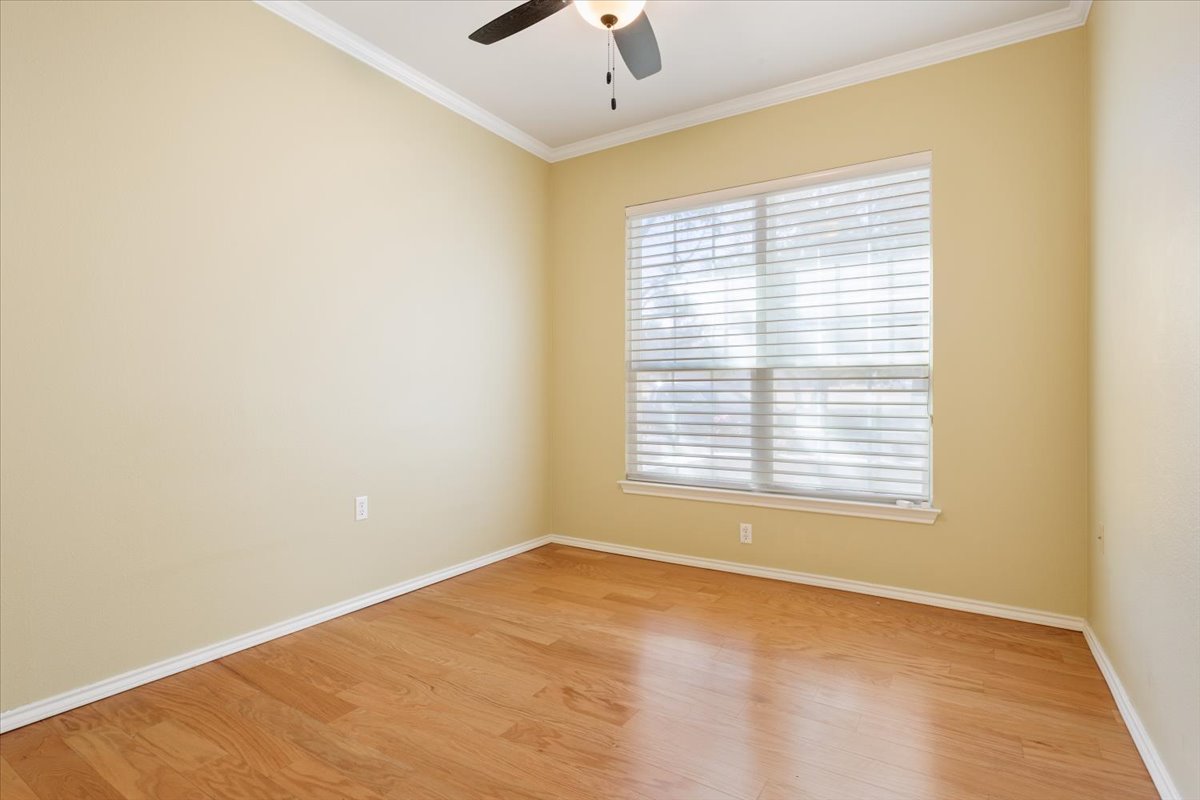 113 Sunny Side Bend Georgetown, TX 78633 - Photo 28 of 33 Second guestroom offering views out the front of the house- nice for company to wake up to!