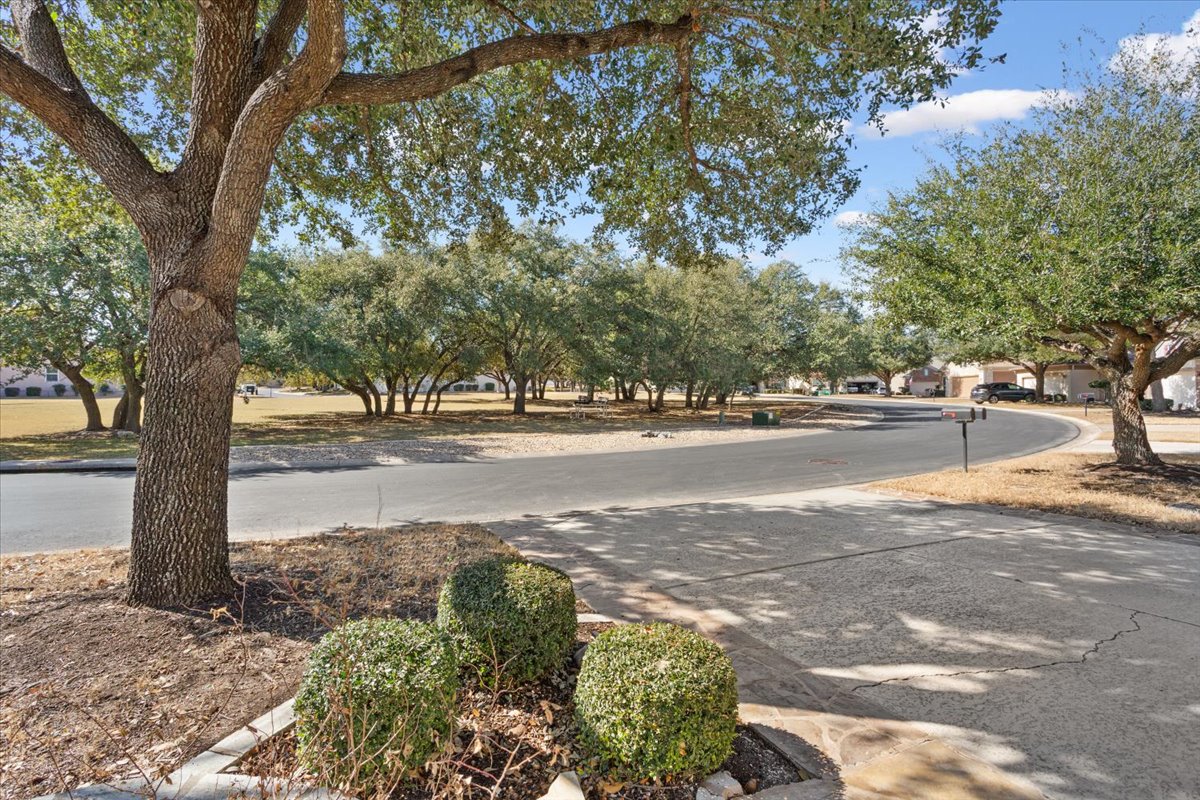 113 Sunny Side Bend Georgetown, TX 78633 - Photo 8 of 33 Sunnyside Bend is a curved short street of homes.