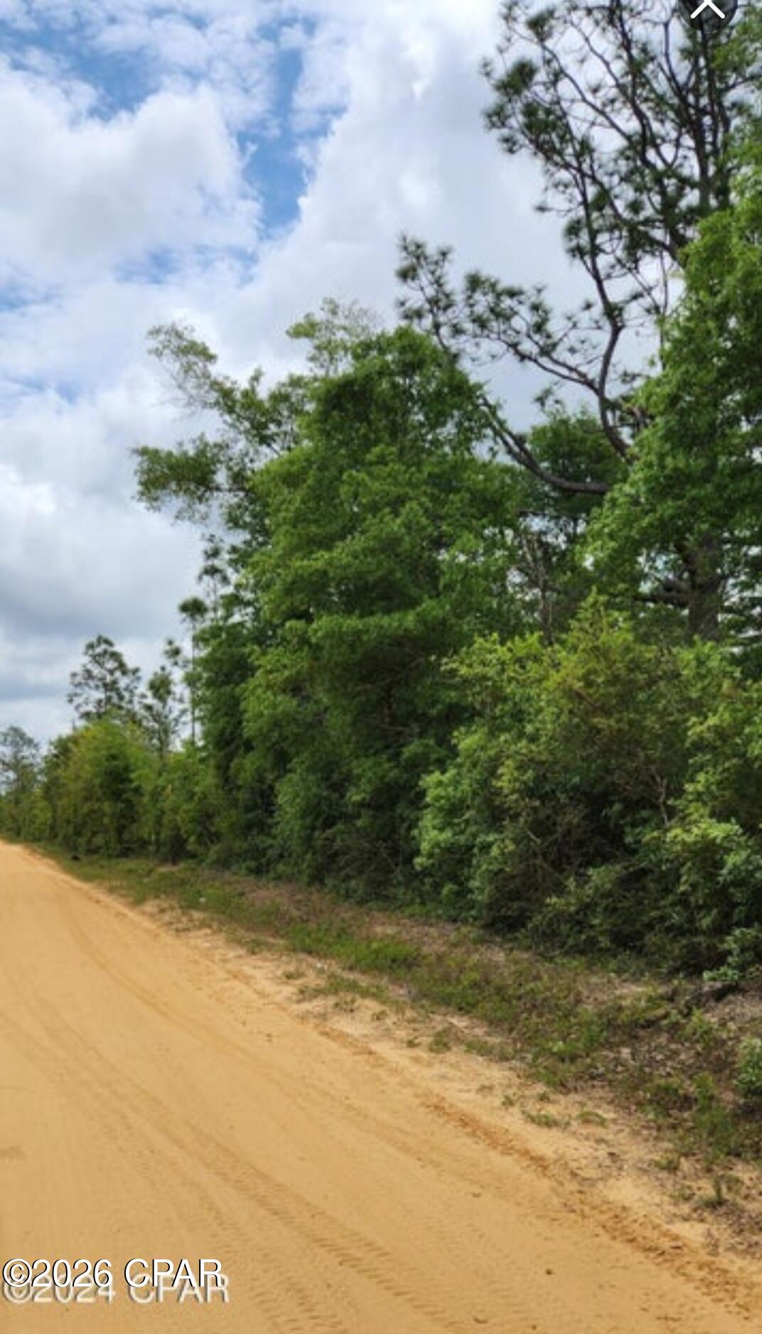 0 South Silver Lake Road Youngstown, FL 32466 - Photo 2 of 2