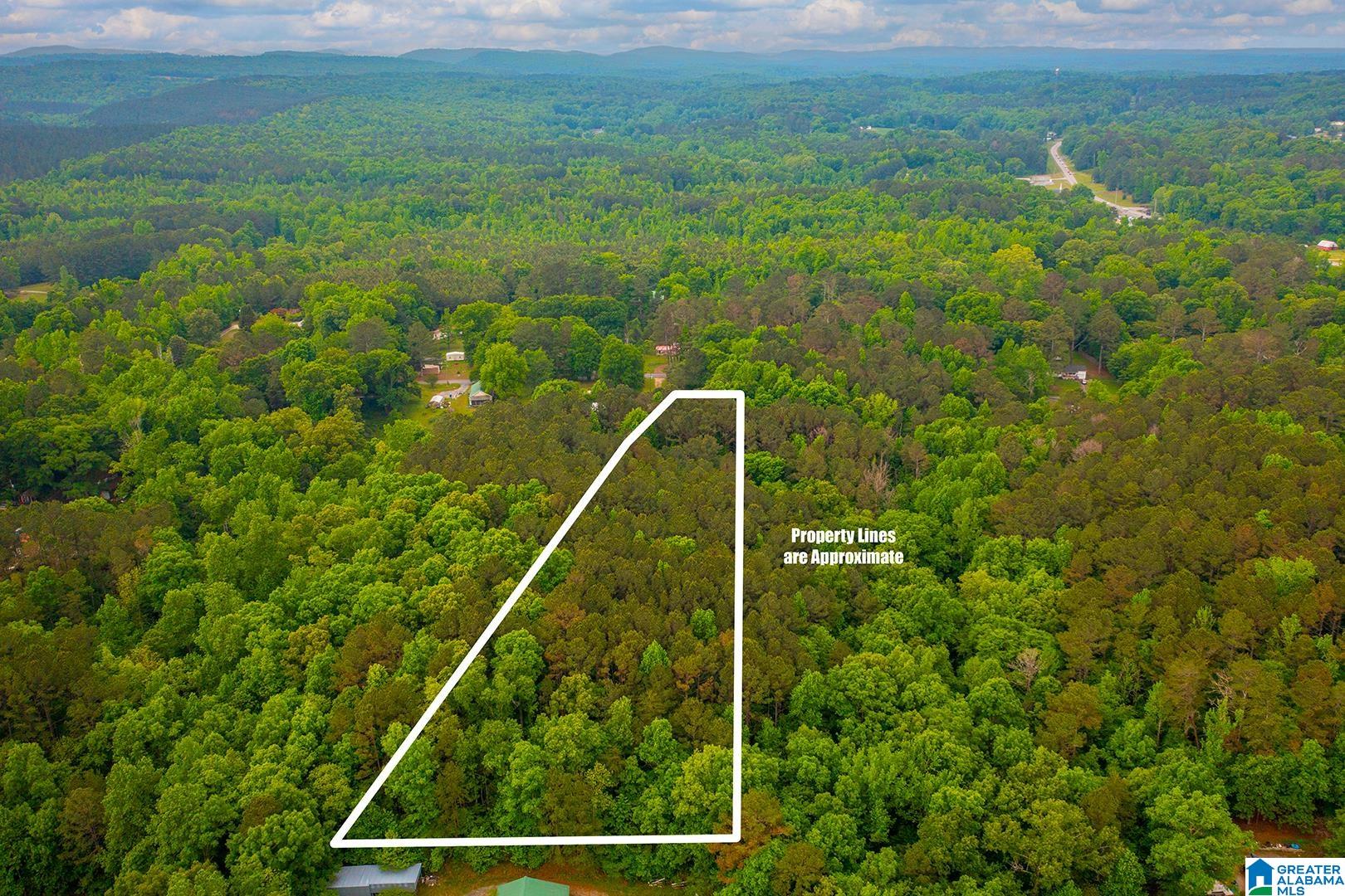 0 Spunky Hollow Road, Unit 1 Trafford, AL 35172 - Photo 11 of 18
