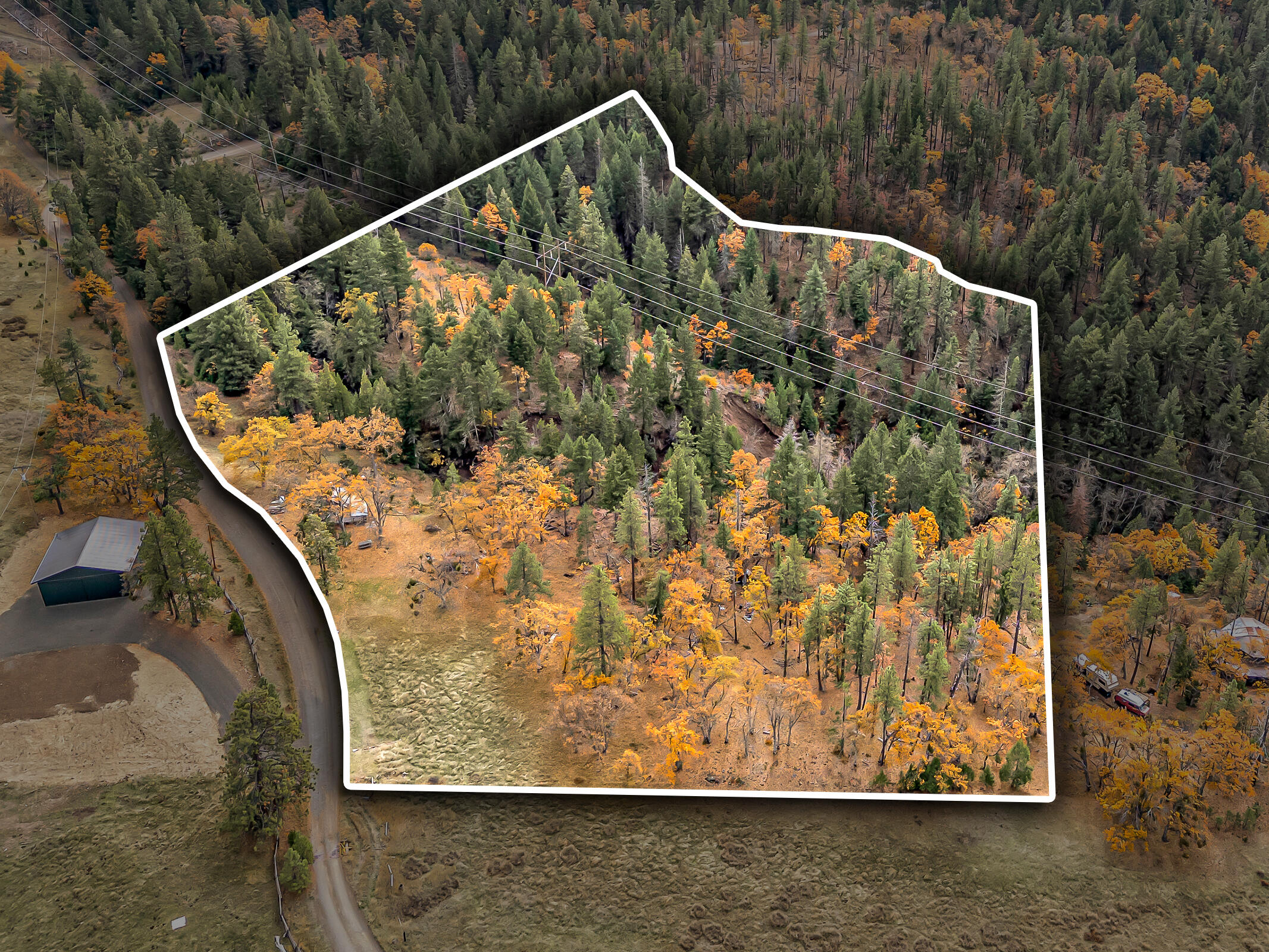 108 Baldy Creek Road Ashland, OR 97520 - Photo 4 of 23