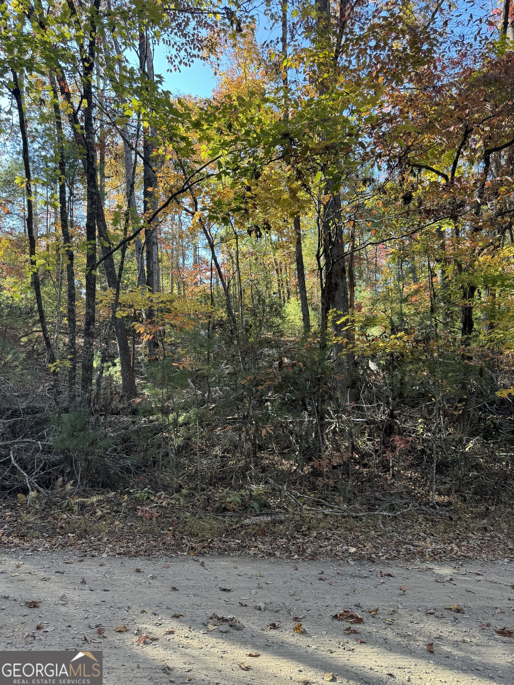 11 Mill Creek Acres Blue Ridge, GA 30513 - Photo 1 of 1