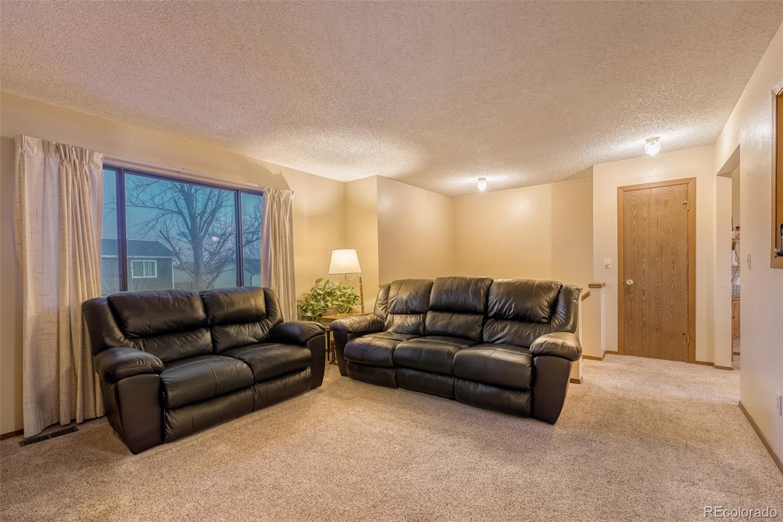 271 Birch Street Bennett, CO 80102 - Photo 5 of 30