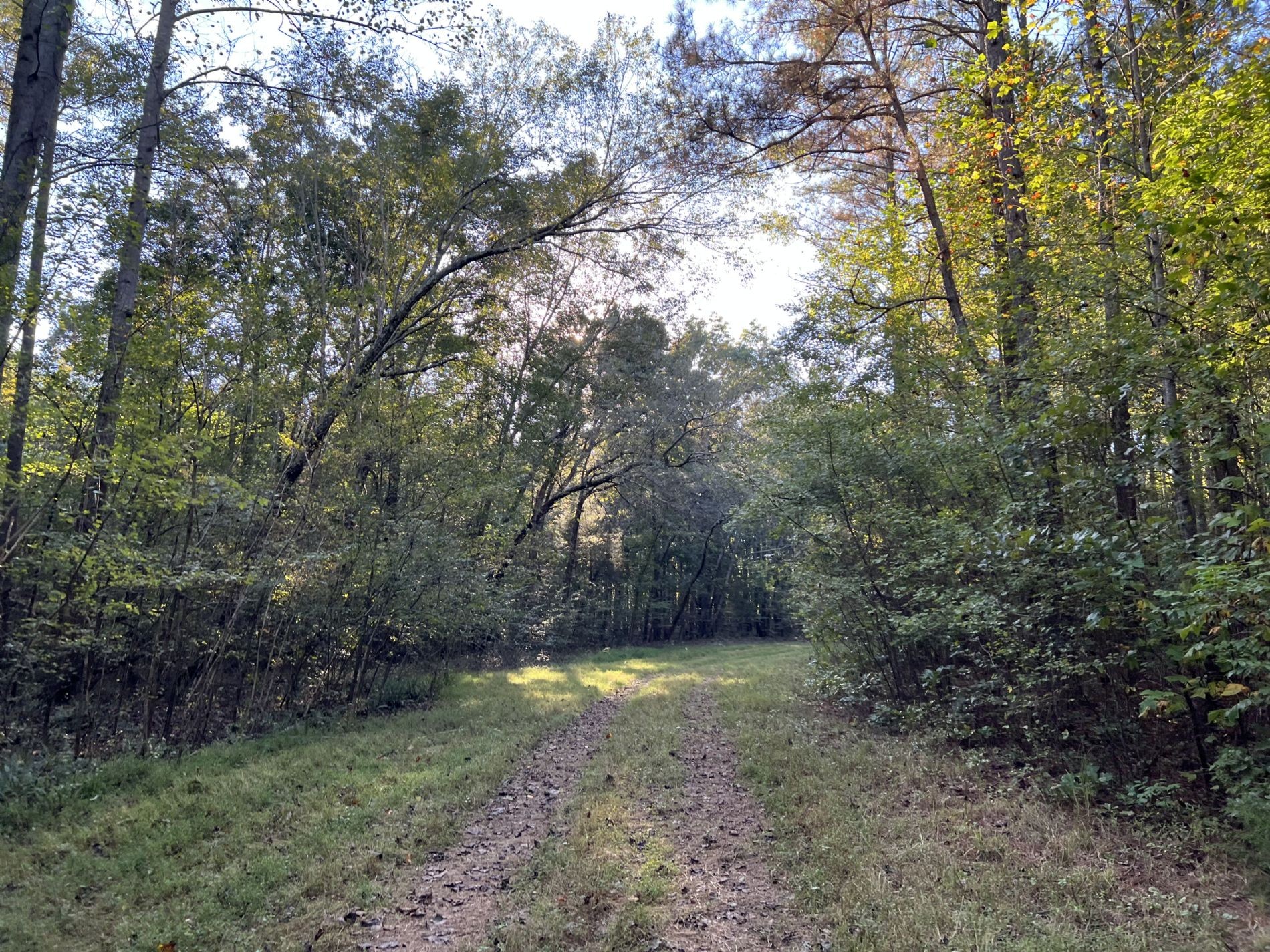 840 Turnpike Road Lawrenceburg, TN 38464 - Photo 3 of 10 a view of backyard with green space