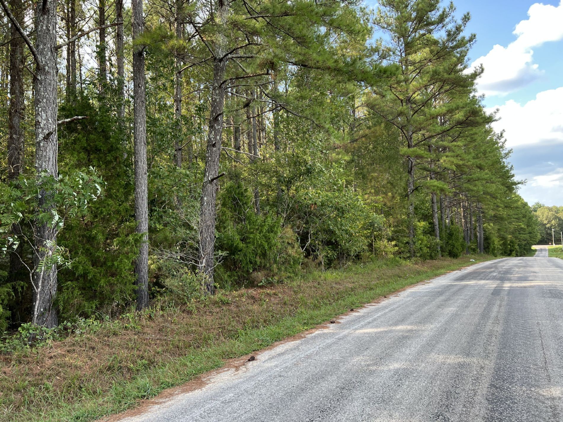 840 Turnpike Road Lawrenceburg, TN 38464 - Photo 9 of 10 a view of a street with a trees